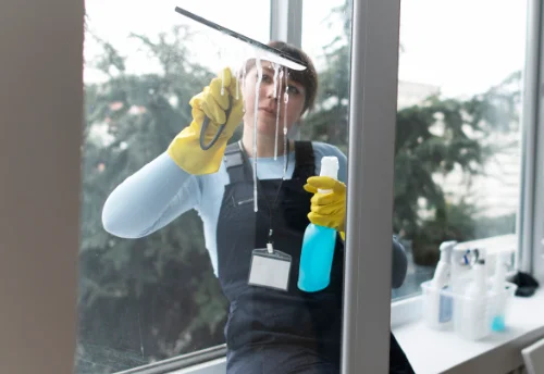 Nettoyage de vitres intérieures et extérieures à Landevieille